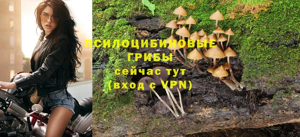 молекула духа Абинск