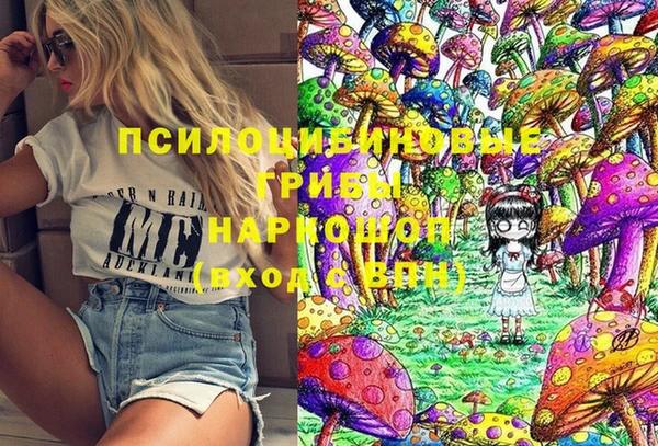 мдпв Абдулино