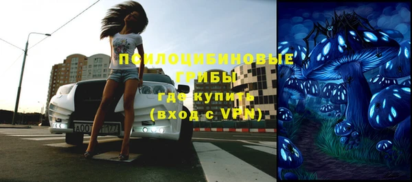 дурь Белая Холуница