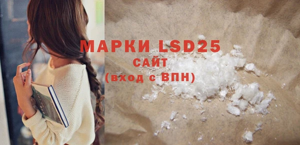 PSILOCYBIN Алзамай